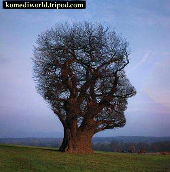 atarat_mohamad@hotmail.com